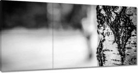 Festmények 120x60 Nyírfa