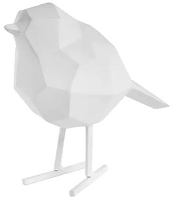 Bird Small madár fehér