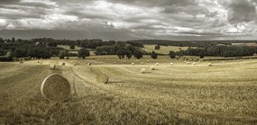 Poszter 91,3x44,5cm Szénakazalok a mezőkön 3, Assaf Frank