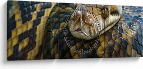 Kép - Piton (órával) (90x30 cm)