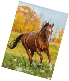 BedTex Mikropoliészta takaró, mezei róka, 150 x200 cm