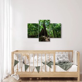 Kép - A fa gyökerei (90x60 cm)