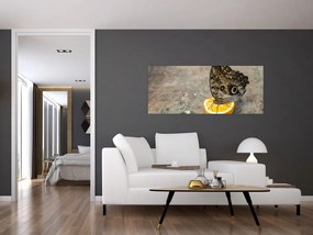 Pillangó képe (120x50 cm)