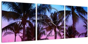 Kép - Pálmafák Miamiban (órával) (90x30 cm)