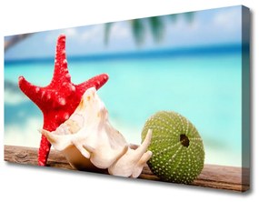 Canvas kép Shell Starfish Art 125x50 cm