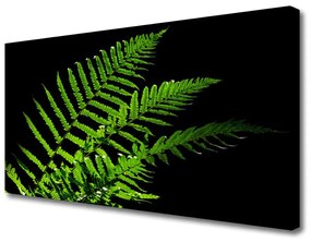 Vászonkép nyomtatás Fern páfrányok levelei 100x50 cm