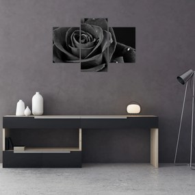 Kép - Bíborvörös rózsa (90x60 cm)