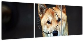 Kutya képe (órával) (90x30 cm)