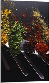 Üveg Vágódeszka 30x52 Fűszerek a Konyhába