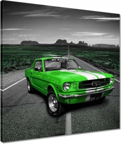 Vászonkép 50x50 Lime Mustang