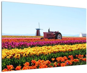 Tulipánfarm képe (90x60 cm)