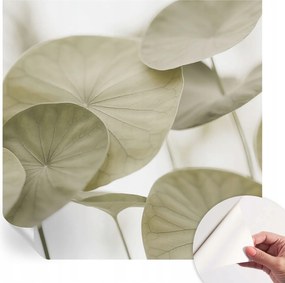 Öntapadós fotótapéta Falra 3D Loft Természetes elegancia 250x250 cm