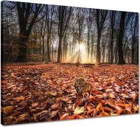 Vászonkép 50x40 Kihalás fenyegeti