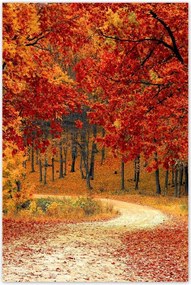 Poszterek 80x120 Tájkép