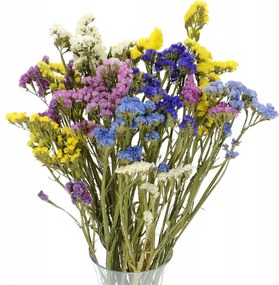 Szárított Limonium mix színek csokor szárított virágok szárítás