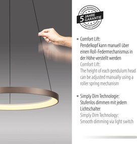 Paul Neuhaus modern függeszték hoop kávé pln2851-36