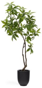 Műnövény (magasság 180 cm) Pachira – Kave Home