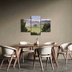 Egy kép a rétről egy fával (90x60 cm)