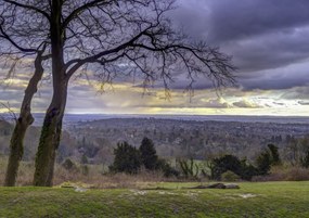 Poszter 84,1x59,4cm Reigate Hill 2, Assaf Frank