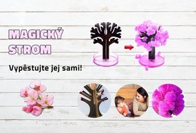 Zaparkorun Mágikus Sakura fa