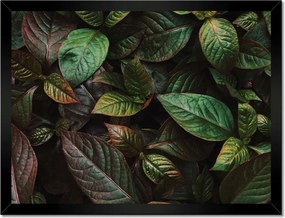 Poszterek keretben 40x30 Trópusi levelek Levelek