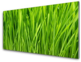 Üvegkép Grass Nature Plant 100x50 cm 2 fogas