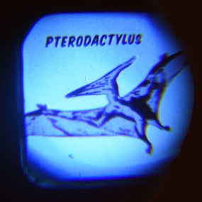 Vetítő, 16 db dinoszauruszos képpel - Rex London