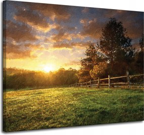 Vászonkép Nap Tájkép Falusi fák Rét 100x80 cm