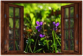 Poszterek 60x40 Mezei ibolya