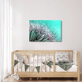 Kép - harmatos növény (90x60 cm)