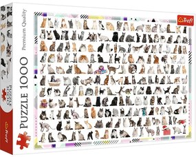 Puzzle - 208 cats - 1000 db