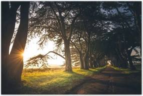 Poszterek 120x80 Tájkép Látvány