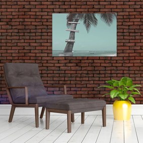 Kép - Palma a Karib-tengeren (90x60 cm)