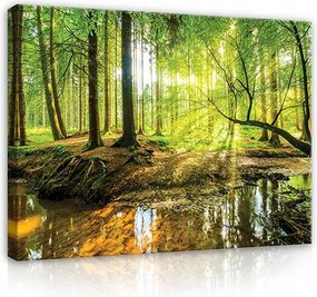 Hálószoba Vászonkép Előszoba Erdő Természet Vászon Fal Nagy XXL 120x80