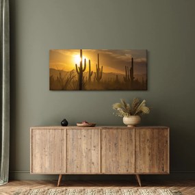 Kép - Saguaro kaktuszok (120x50 cm)