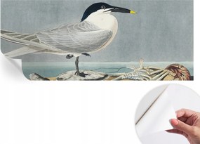 Öntapadós fotótapéta Falra 3D Loft Ornitológiai elegancia 250x104