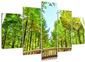 Kép - Kilátás az erdőre (150x105 cm)