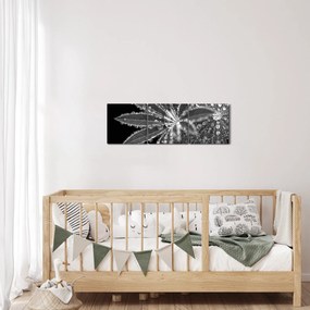 Kép - Cseppek (órával) (90x30 cm)