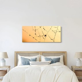 Egy harmatos pókháló képe (120x50 cm)