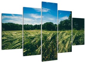 Rét és az erdő képe (150x105 cm)
