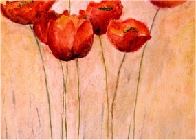 Kép - piros tulipán (üvegen) (70x50 cm)