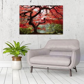 Red Japanese Maple, Portland, Oregon képe (90x60 cm)