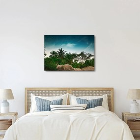 Kép - pálmafák (70x50 cm)