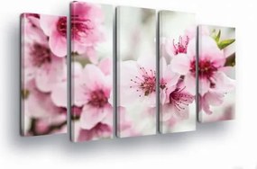 Vászonkép 150x100 Virágok Sakura polip tavasz rózsaszín természet nyugalom szépség