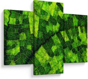 Kép - A lap részlete (90x60 cm)