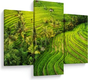 Kép - Rizs teraszok (90x60 cm)