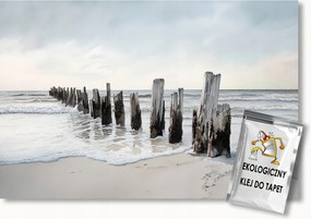 Fotótapéta Flizelina Tengerpart Víz Balti-tenger Hullámok Hullámtörő 368x254 ragasztó