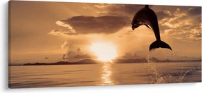 Kép - Delfin naplementében (120x50 cm)