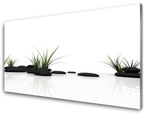 Akrilkép Grass víz tükör 100x50 cm