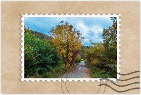 Poszterek 120x80 Őszi fák